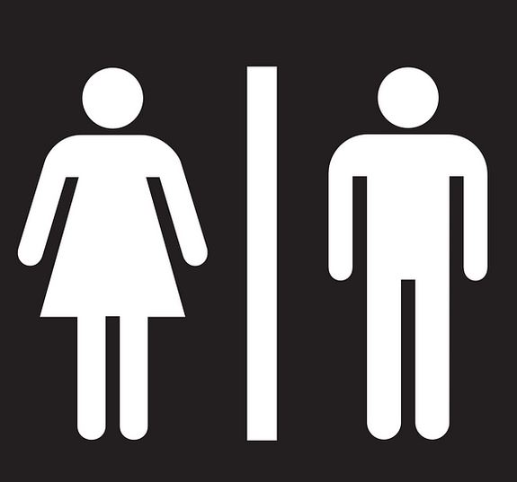 toilet speed dating
